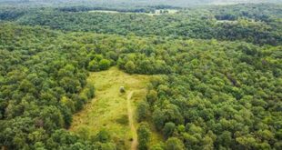 Uncover Hidden Gems: Explore Land for Sale in Willow Springs, MO 19 th 44