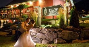 Unveiling the Enchanting Allure of Willow Spring Vineyard, Haverhill MA 25 th 106