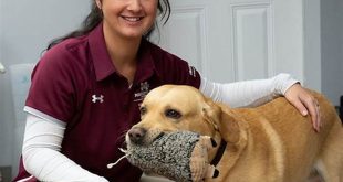 Unlock the Secrets of Willow Bend Vet Holly Springs MS: Uncover the Path to Exceptional Pet Care 1 th 110