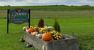 Discover Porter Farms Willow Springs: Unveiling Luxury, Nature & Exclusivity 19 th 134