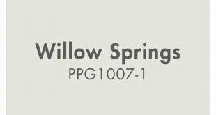 Unveil the Secrets of Willow Springs: Transform Your Home with Sage Color Insights 25 th 17