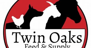 Discover the Secret to Exceptional Pet Care in Willow Spring 19 th 25