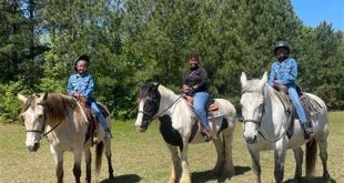 Saddletree Stables: Revel in Equestrian Delights in Willow Spring 25 th 65