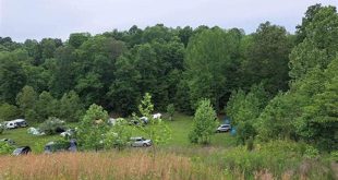 Discover the Hidden Gems of Willow Springs Campground: Unveil Its Enchanting Nature 10 th 93