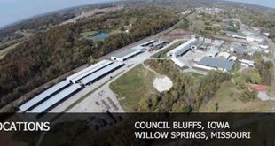 Unveiling the Wonders of Midwest Walnut Willow Springs: A Comprehensive Guide 7 th 105