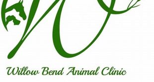 Uncover the Secrets to Remarkable Pet Care at Willow Bend Animal Clinic Holly Springs 4 th 123