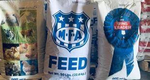 Unlock the Secrets of MFA Feed Willow Springs MO: A Guide to Unparalleled Livestock Nutrition 4 th 13