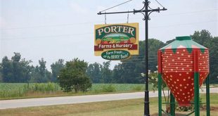 Unveiling Porter Farms Willow Springs NC: A Haven for Nature and Adventure 10 th 138