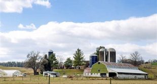 Discover the Hidden Gems of Willow Springs Farm PA: A Journey of Discovery and Delight 25 th 17