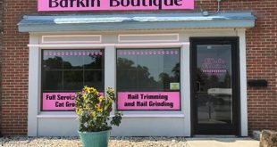 Unleashing the Secrets of Willow Springs Pet Care: Discover Barkin' Boutique 7 th 216