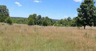Discover the Enchanting World of Willow Springs Land for Sale 10 th 225