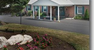 Unveiling the Secrets of Garden Spring Center: A Haven for Gardeners in Willow Grove 28 th 229