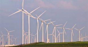 Unveiling the Secrets of Willow Springs: Discoveries and Insights into the Largest Wind Farm in the US 7 th 237