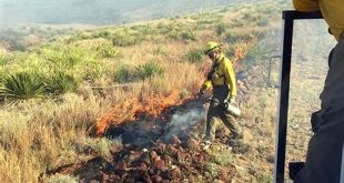 Unveiling the Willow Springs Fire: From Origins to Impacts and Prevention Strategies 10 th 33
