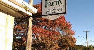 Unveiling the Secrets of Whittle's Willow Spring Farm: A Culinary and Sustainable Sanctuary 13 th 54