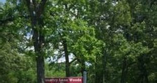 Discover the Enchanting Wonders of Country Lane Woods in Willow Springs, IL 10 th 103