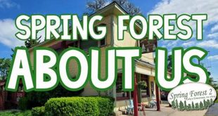 Discover the Hidden Gems of Spring Forest Willow Springs: An Enchanting Oasis 13 th 205