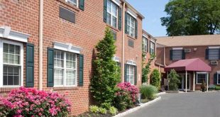 Dive into the Blossoming World of Garden Spring Center in Willow Grove, PA 28 th 58