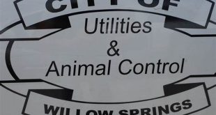 Unveiling Willow Springs Animal Control: A Comprehensive Guide to Keeping Your Community Safe 28 th 69