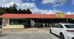 Uncover Hidden Gems: Exploring the Plant Nurseries of Willow Springs, NC 25 th 112