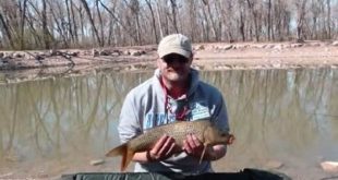 Unlock Fishing Secrets: Discover the Wonders of Willow Springs Pond 1 th 193