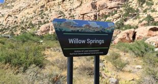 Unveil the Secrets of Willow Springs Trailhead: A Hiker's Paradise 25 th 195