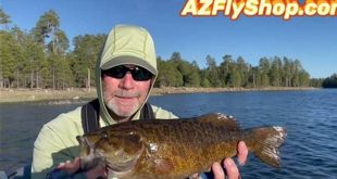 Willow Springs Fishing Report: Uncover Hidden Gems and Reel in Success 25 th 216