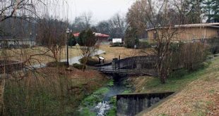 Uncover the Enchanting Allure of Willow Springs, GA: A Journey of Discovery 25 th 38
