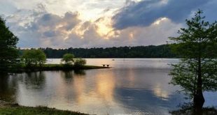 Willow Springs to Raleigh: Discover the Hidden Gems and Local Insights 22 th 110