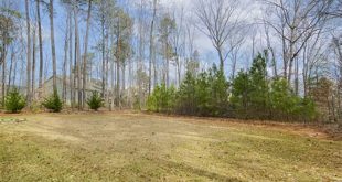 Unveiling Blalock Forest: A Haven of Nature and Community in Willow Spring, NC 7 th 117