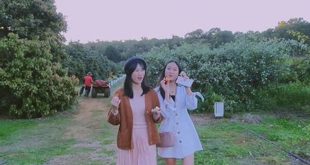 Unveiling the Secrets of Willow Springs Orchard: A Journey of Discovery and Delight 25 th 122