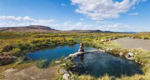 Discover the Enchanting Oasis: Springs at Willow Creek Unveiled 10 th 151