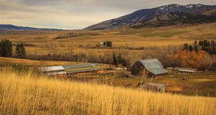 Unveiling the Enchanting Wilderness of Willow Spring Ranch Montana 1 th 167