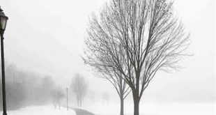 Uncover the Enchanting Allure of Willow Springs, Chicago: A Journey of Discovery 25 th 227
