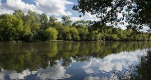 Unveiling Columbia Woods: A Willow Springs Gem Awaits Your Discovery 22 th 228