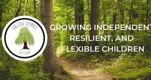 Unveil the Secrets of Willow Springs Day Camp: A Journey of Discovery! 7 th 32
