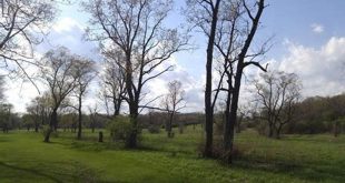 Discover the Enchanting Pioneer Woods: Your Oasis in Willow Springs 19 th 78