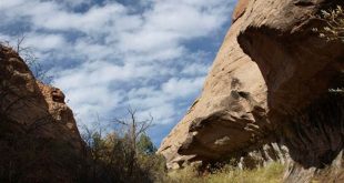 Uncover the Hidden Gems of Willow Springs Utah: A Journey of Discovery 13 th 117