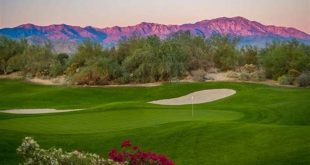 Unveil the Desert Willow Firecliff's Enchanting Oasis 10 th 118