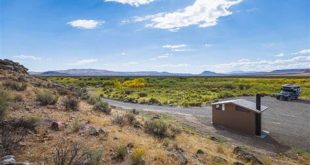 Unveil the Hidden Oasis: Discoveries at Willow Springs Hot Springs 10 th 140