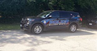 Uncover the Hidden Truths: Willow Springs Police Blotter Unveiled 1 th 175