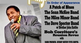 Unveiling the Heart of the Blues: Discoveries at Willow Springs 10 th 177