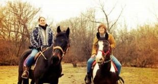 Unlock the Secrets of Willow Springs Horseback Riding: A Guide to Unforgettable Trails 19 th 185