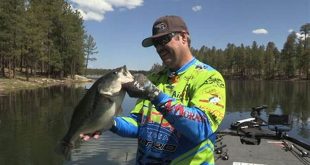 Discover the Enchanting World of Willow Springs Fishing 19 th 222