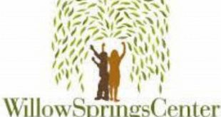 Uncover Hidden Job Gems: Your Guide to Willow Springs' Finest Opportunities 13 th 234