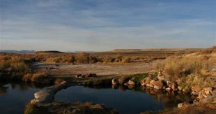 Discover the Enchanting World of Willow Springs Creek 7 th 29