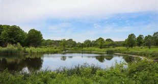 Discover the Hidden Gems and Unveiled Wonders of Palos Forest Preserve in Willow Springs 7 th 34