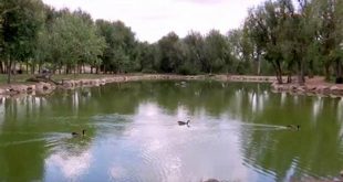 Discover the Enchanting Willow Springs Pond Fountain: A Colorado Gem 16 th 4