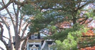 Unveiling the Secrets of Willow Springs' Enigmatic Upside Down Cross House 13 th 48
