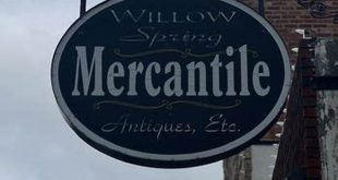 Uncover the Charm of Willow Spring Mercantile: A Haven for Home Dcor and Design 4 th 58